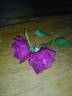 Ja15-04 rose photo