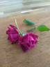 Ja15-04 rose photo