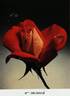 Madame Dieudonné rose photo