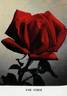 Karl Herbst rose photo