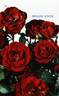 Moulin Rouge ® rose photo