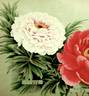 Kamada-Fuji peony photo