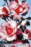 Centenaire de Lourdes rose photo