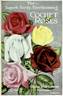 Helen Gould rose photo