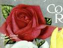 Helen Gould rose photo