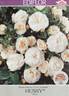 Husky rose photo