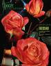 Apogée ® rose photo