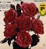 Pernille Poulsen ® rose photo