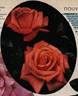 Troika ® rose photo