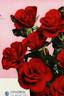 Concerto rose photo