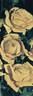 Bijou d'Or rose photo