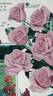 Kalinka rose photo