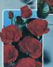 Chorus ® rose photo