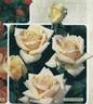 Stadt Basel rose photo