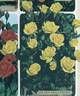 Golden Meillandina rose photo