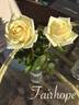 Fairhope rose photo