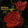 Madame Bruno Coquatrix rose photo