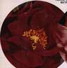News ® rose photo