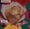 Onyx rose photo