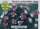 Jean Adrien Mercier ® rose photo