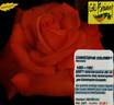 Christophe Colomb ® rose photo