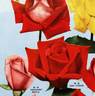 New Yorker rose photo