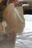 Mrs. Herbert Stevens, Cl. rose photo