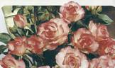 Bordure Rose ® rose photo
