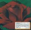 La Marseillaise ® rose photo