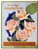 Josephine Vestal rose photo