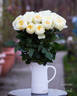 Leonora rose photo