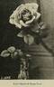 Souvenir de Georges Pernet rose photo