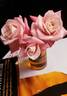 Jilly Jewel rose photo