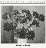 Agnes Kruse rose photo