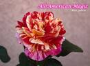 All American Magic ™ rose photo