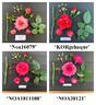 Showpiece Lipstick rose photo
