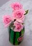 Overnight Scentsation ™ rose photo