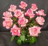 Raytherose rose photo