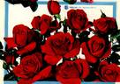 Fidélio rose photo