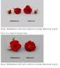 MEIrutral rose photo