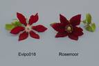 Evipo016 clematis photo