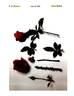 Intrepid Red rose photo