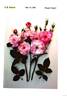 Hadbal rose photo
