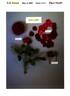Poulac009 rose photo