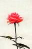 KORone005 rose photo