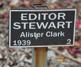 Editor Stewart rose photo
