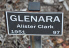 Glenara rose photo