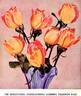 Climbing Talisman rose photo