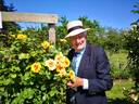 Peter’s Persica rose photo