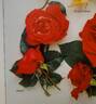 Astral rose photo